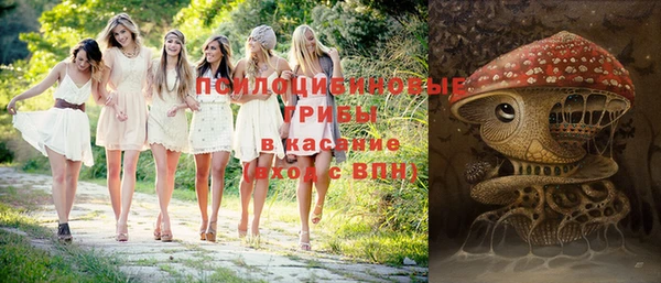 мдпв Красноперекопск