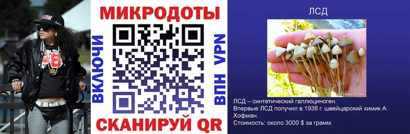 Купить где  Новохопёрск  Псилоцибиновые грибы MAGIC MUSHROOMS 